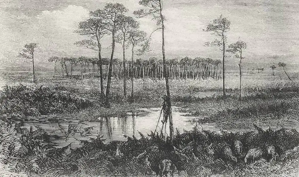 Photo darchive dans les Landes de Gascogne © Retronews 1024x608