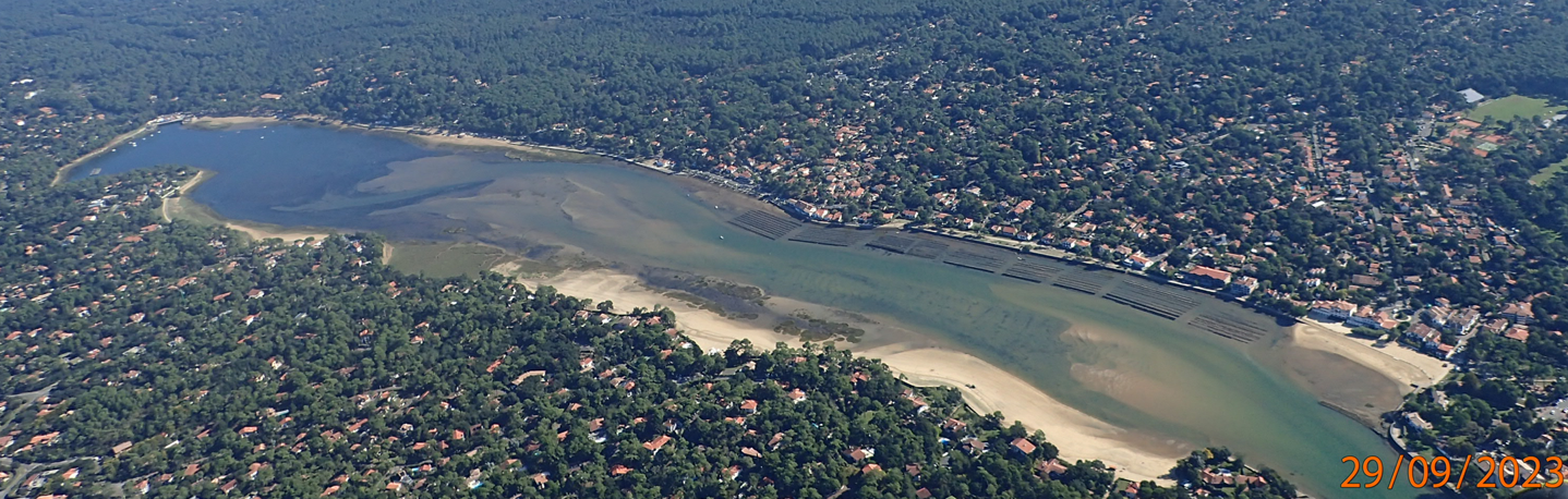 Image1